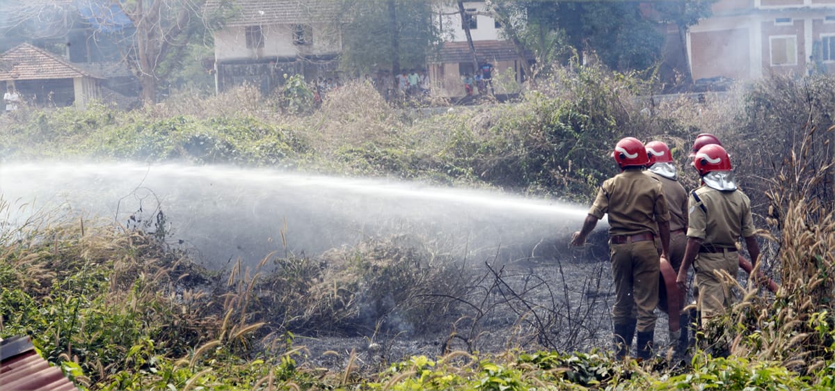 പുൽക്കൂട്ടത്തിന് തീപിടിച്ചത് പരിഭ്രാന്തി പടർത്തി