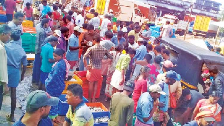കാസർകോട്​ റോഡരികിലെ മത്സ്യവിൽപന ഒഴിപ്പിച്ചു