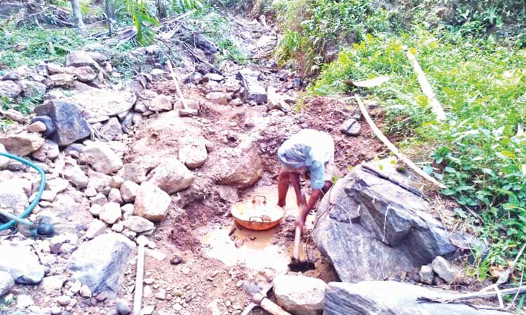 ജില്ലയിൽ വരൾച്ച അതിരൂക്ഷമാകുന്നു