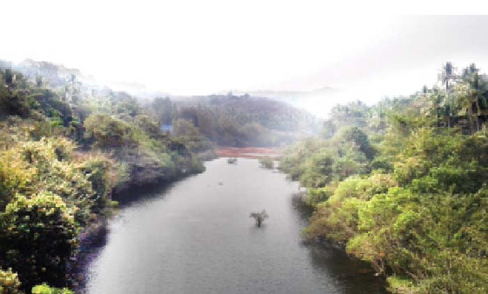 കാക്കടവ് പുഴ വറ്റുന്നു