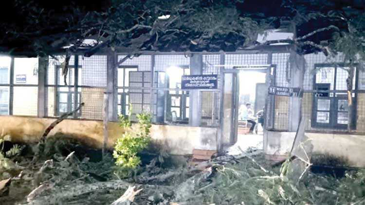 ജില്ല ആശുപത്രിക്ക്​ മുകളിൽ മരംവീണു; നാലുപേർക്ക്​ പരിക്ക്