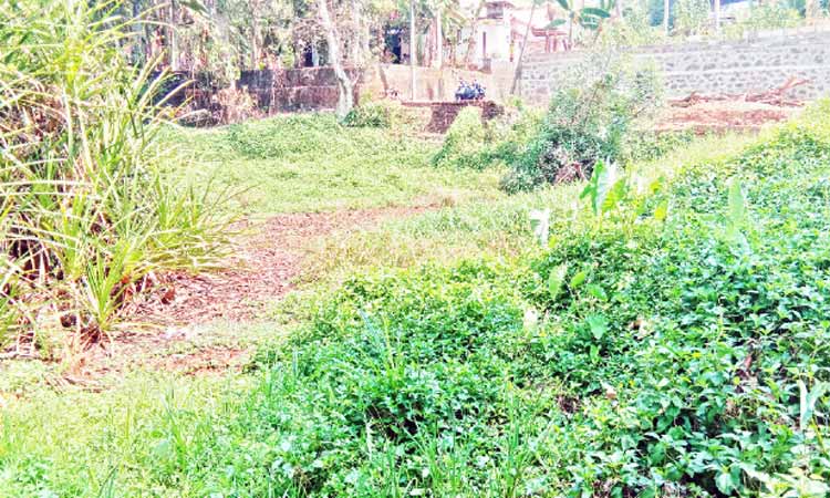 ക്ഷേത്രക്കുളം നാശത്തി​​െൻറ വക്കിൽ; കുടിവെള്ളക്ഷാമം അതിരൂക്ഷം