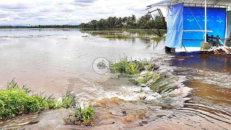മഴ: 70 ലക്ഷത്തി​െൻറ കൃഷിനാശം