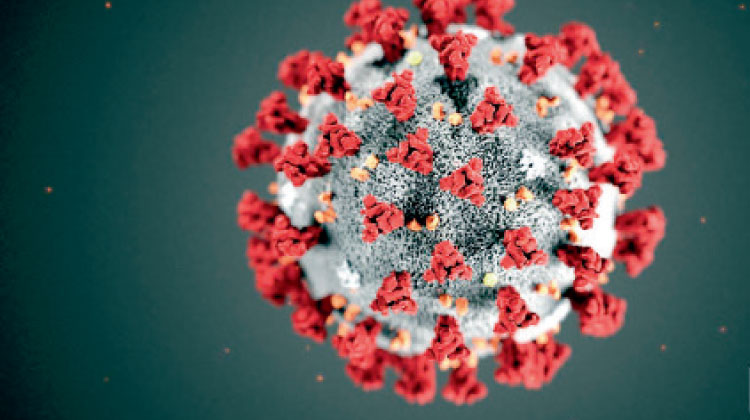 കോ​വി​ഡ്​ മു​ത​ലെ​ടു​ത്ത്​ ത​ട്ടി​പ്പു​കാ​രും