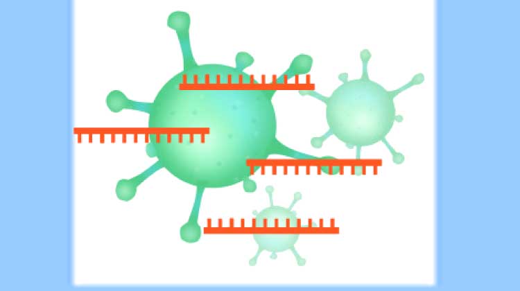 കോവിഡ്​ പ്രതിരോധം: മുന്നണിപ്പോരാളികൾക്ക്​ സാമ്പത്തിക സഹായം നൽകാൻ നീക്കം