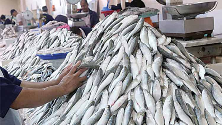 kuwait-fish-price