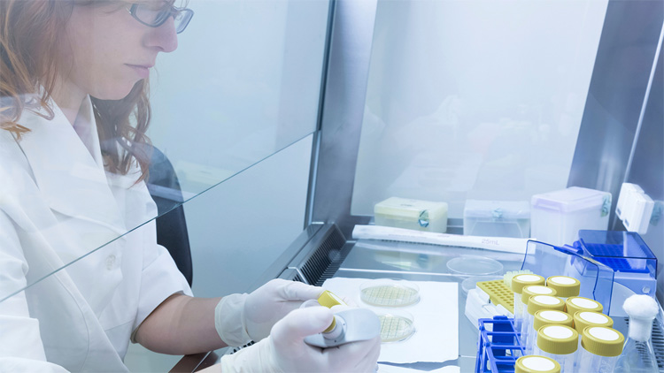 ആ​രോ​ഗ്യ​മ​ന്ത്രാ​ല​യ​ത്തി​ൽ 63 വി​ദേ​ശി​ക​ൾ​ക്ക്​ പ​ക​രം സ്വ​ദേ​ശി​ക​ളെ നി​യ​മി​ക്കും