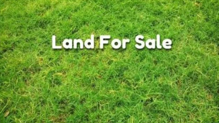 land-sale
