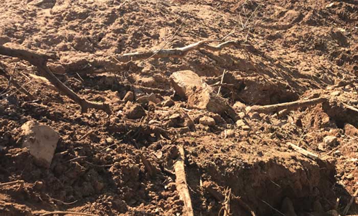 നിർമാണത്തിലിരിക്കുന്ന റിസോർട്ടിന്‍റെ ഭിത്തിയിടിഞ്ഞ് തൊഴിലാളി മരിച്ചു