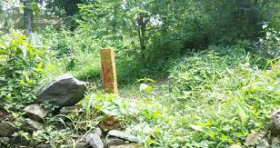 വികസനത്തിന്​ ഭൂമി ഏറ്റെടുക്കാൻ 13 പ്രത്യേക യൂനിറ്റുകൾ