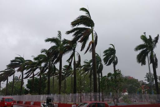 ‘മഹ’ ശക്തിപ്രാപിക്കുന്നു: സംസ്ഥാനത്ത് പരക്കെ മഴ; ലക്ഷദ്വീപിൽ റെഡ് അലേർട്ട്