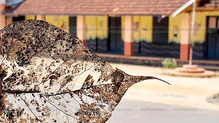 കോവിഡേ, ഇത് കേരളമാണ്