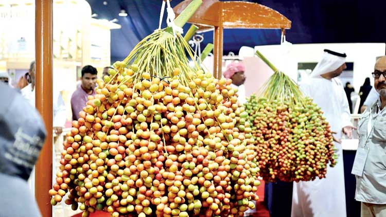 പൈ​തൃ​ക​ത്ത​നി​മ​യോ​തി  ലി​വ ഈ​ന്ത​പ്പ​ഴോ​ൽ​സ​വം തു​ട​ങ്ങി