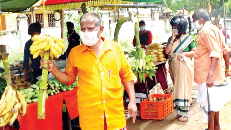 മൈ​ക്ക​പ്പീ​രു​വി​െൻറ പ​ന്ത​ലി​ൽ പ​ച്ച​ക്ക​റി​ക്ക​ട പൊ​ളി​യാ​ണ്​