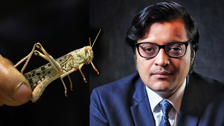 locust-arnab