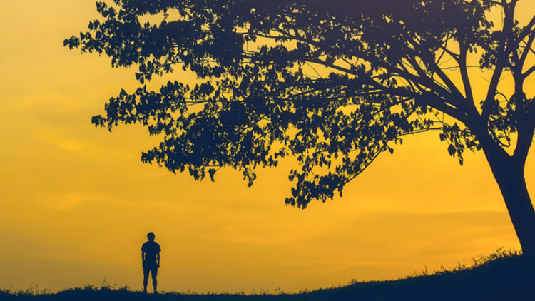 നരമുറ്റിയ ഇടം