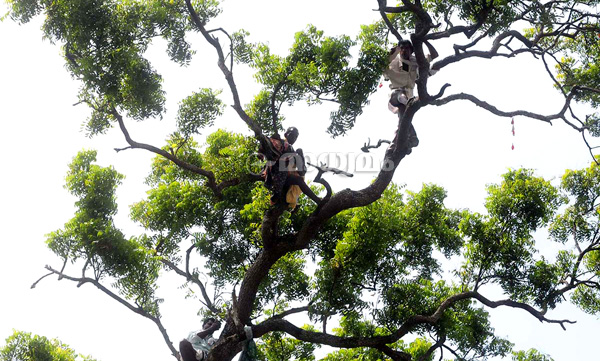 സെക്രട്ടേറിയേറ്റിന് മുന്നില്‍ ആത്മഹത്യ ഭീഷണിമുഴക്കി ചെങ്ങറ സമരക്കാര്‍