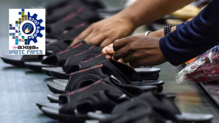 വിദേശത്ത്​ എത്ര പ്രവാസി മലയാളികളുണ്ട്​? ഉത്തരം കാക്കത്തൊള്ളായിരം