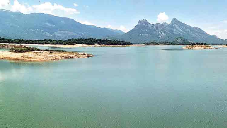 വേനൽ കടുക്കുന്നു; തൊണ്ട വരണ്ട്   ഡാമുകൾ