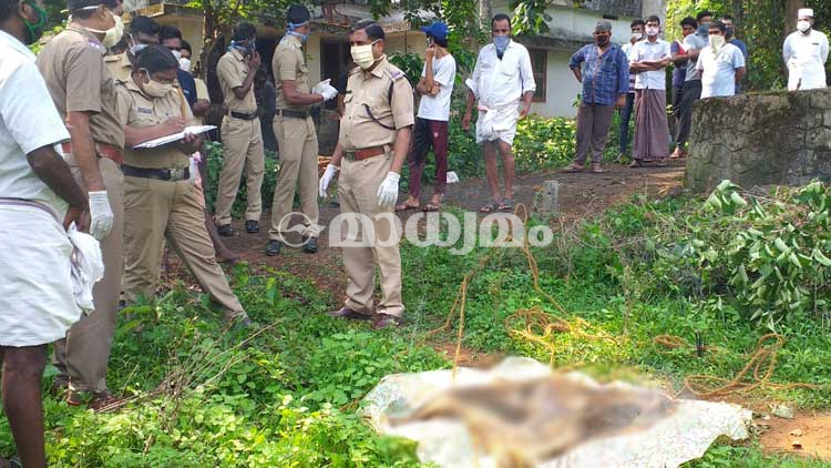 കടവല്ലൂരിൽ നവജാത ശിശുവി​െൻറ അഴുകിയ മൃതദേഹം പൊട്ടക്കിണറ്റിൽ കണ്ടെത്തി