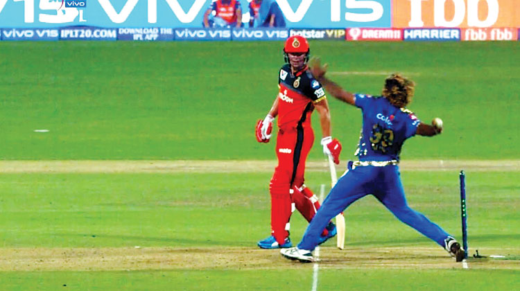 മലിംഗയുടെ നോ ബാൾ വിളിക്കാതെ അമ്പയർ; വിവാദം തുടർക്കഥ മലിംഗയുടെ നോ ബാൾ വിളിക്കാതെ അമ്പയർ; വിവാദം തുടർക്കഥ