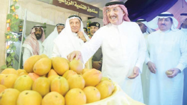 ജീസാനിൽ മാമ്പഴ മേള തുടങ്ങി