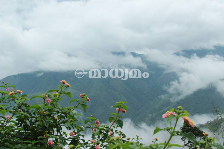 മഞ്ഞുപെയ്യുന്ന ആനക്കാട്ടില്... മഞ്ഞുപെയ്യുന്ന ആനക്കാട്ടില്...