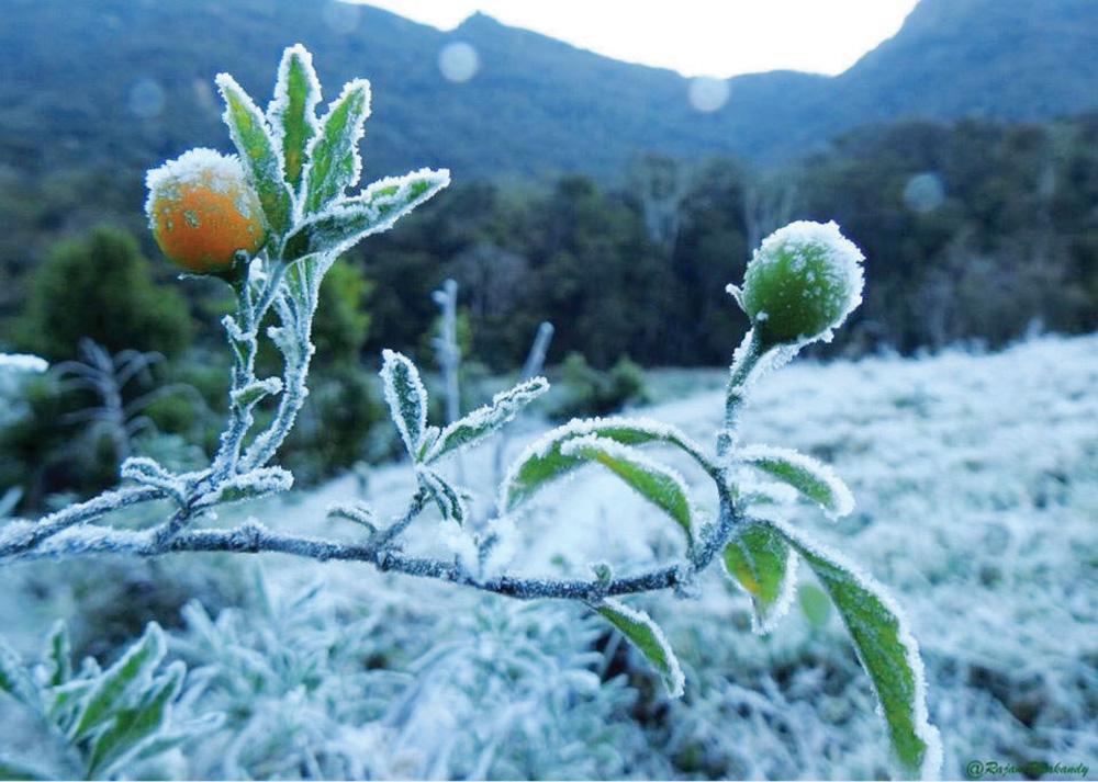 കേരളത്തിനും തണുക്കുന്നു