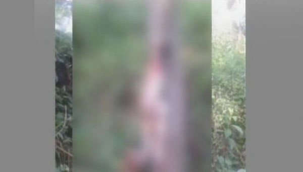 കതിരൂര്‍ മനോജ് കൊല്ലപ്പെട്ട സ്ഥലത്ത് പട്ടികളെ കൊന്ന് കെട്ടിത്തൂക്കി