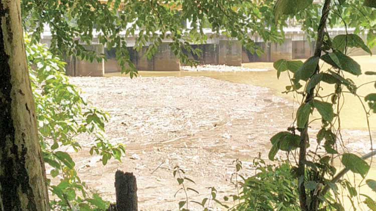 ലോവർപെരിയാർ ഡാം പ്രതിസന്ധിയിലേക്ക്