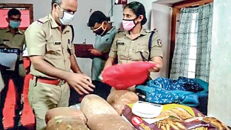 വീട്ടിൽനിന്ന്​ 43 കിലോ കഞ്ചാവ് പിടികൂടി