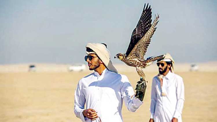 അ​ന്താ​രാ​ഷ്​​ട്ര മ​ർ​മി ഫാ​ൽ​ക്ക​ൺ മേ​ള​ക്ക് മി​ക​ച്ച പ്ര​തി​ക​ര​ണം