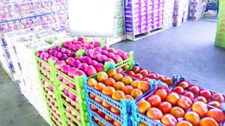 മ​വേ​ല സെ​ൻ​ട്ര​ൽ മാ​ർ​ക്ക​റ്റി​ൽ ചി​ല്ല​റ വ്യാ​പാ​രം പു​ന​രാ​രം​ഭി​ച്ചു