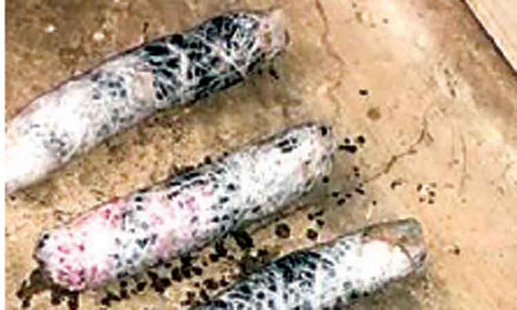 മ​യ​ക്കു​മ​രു​ന്നു​മാ​യി ട്ര​ക്ക്​ ഡ്രൈ​വ​ർ അ​റ​സ്​​റ്റി​ൽ