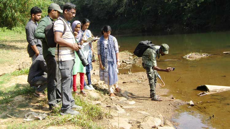 തുമ്പീ... തുമ്പീ... വാ, വാ...