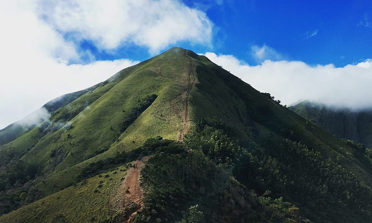 മീശപ്പുലിമല യാത്രക്കാർക്കുള്ള സർക്കാർ വക വണ്ടിയെത്തി; ഇനി റോഡ് നന്നാക്കണം