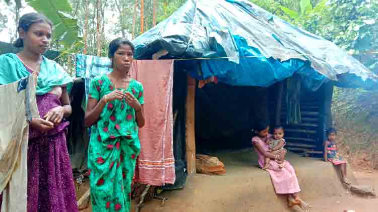 ഇല്ലിച്ചുവടിൽ കുട്ടികൾ ഓൺലൈനിന്​ പുറത്താണ്​