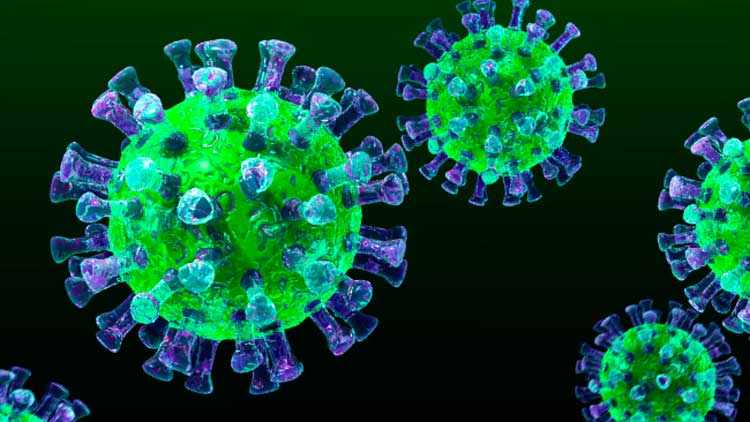 ഖത്തറിൽ മെർസ് രോഗബാധ റിപ്പോർട്ട് ചെയ്തു