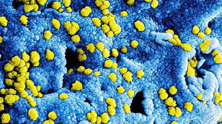 കൊറോണ വൈറസ്​ പുതിയ ഇനം; ജാഗ്രത പുലർത്തണം