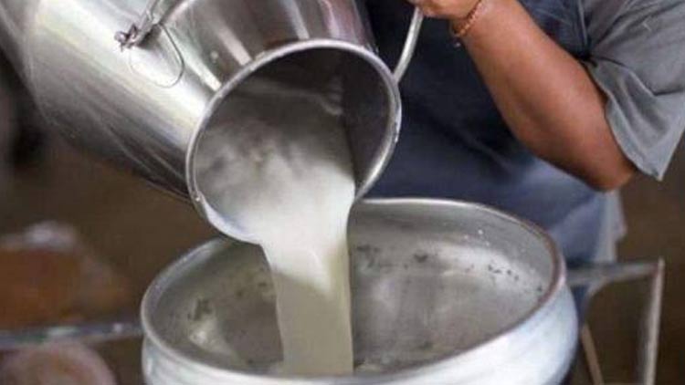 മിൽമ ഇന്നു മുതൽ മുഴുവൻ പാലും സംഭരിക്കും