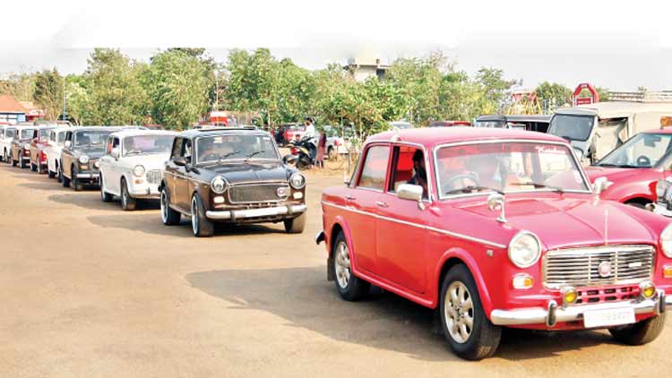 കോ​ട്ട​ക്കു​ന്നി​ൽ  ‘പ​ത്​​മി​നി’​ക​ളുടെ സം​ഗ​മം