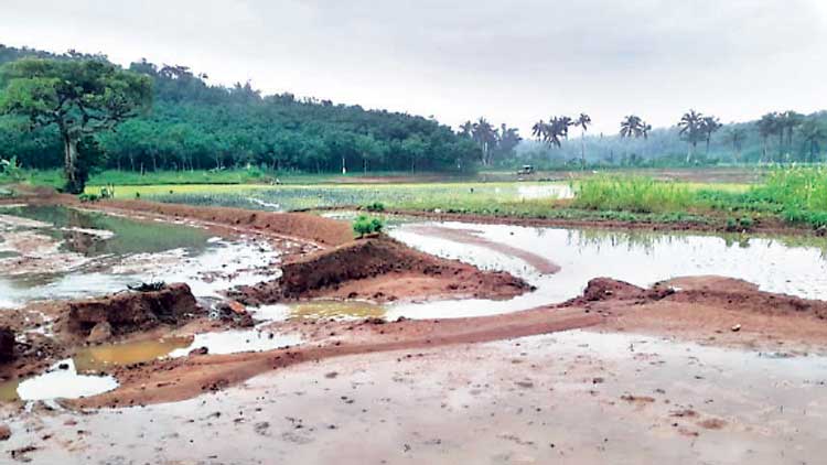 വീണ്ടും ആശങ്ക പെയ്യുന്നു