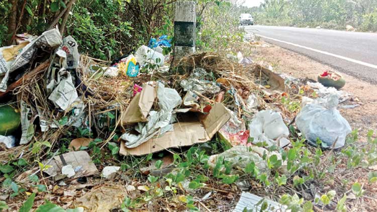 മാ​ലി​ന്യ​ംനിറഞ്ഞ്​ കു​റ്റി​പ്പു​റം –​പു​തു​പൊ​ന്നാ​നി ദേ​ശീ​യ​പാ​ത