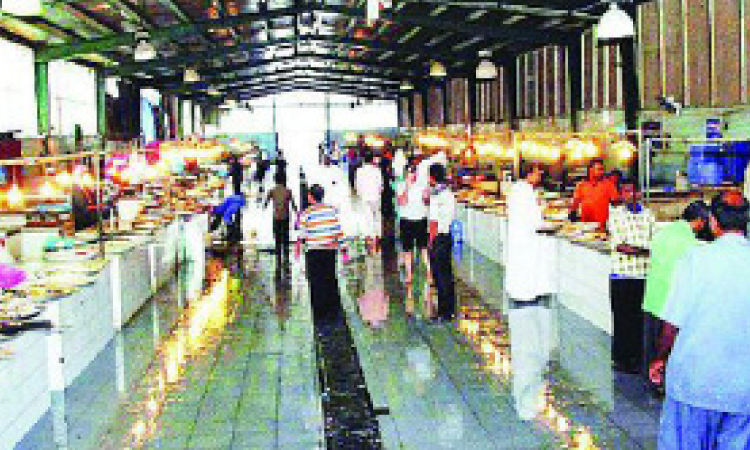 മത്സ്യവിപണിയിൽ കടുത്ത ക്ഷാമം; വിലയിൽ വൻ വർധനവ് 