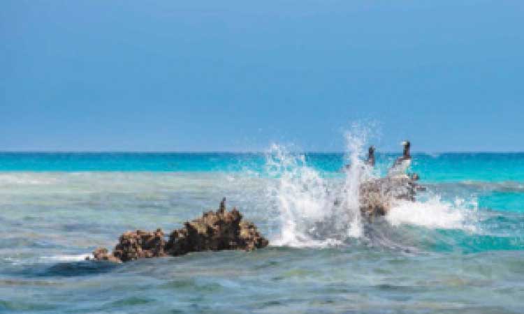 സൗദി ടൂറിസത്തി​െൻറ മുഖഛായ മാറ്റാൻ ചെങ്കടൽ പദ്ധതി