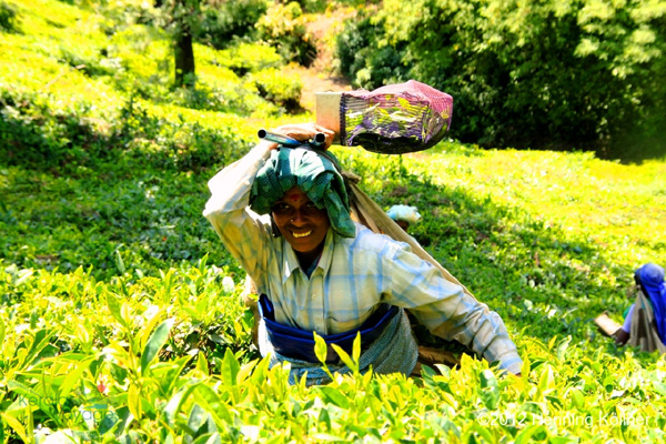 പി.എല്‍.സി യോഗം ഇന്ന് വീണ്ടും; സെക്രട്ടറി തല ഉപസമിതി ഇതുവരെ  യോഗം ചേര്‍ന്നില്ല