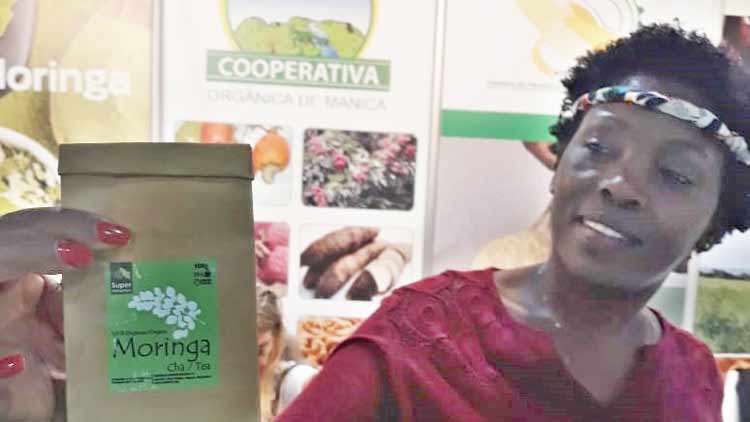 മുരിങ്ങ മുറിച്ച്​ മുറ്റത്ത്​ ടൈലിടുന്നവർക്ക്​ മൊസാംബീകിൽനിന്നൊരു തിരുത്ത്