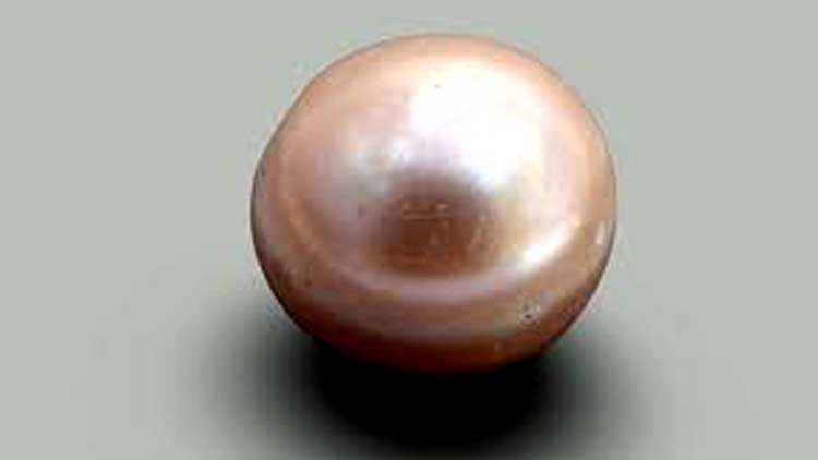 അബൂദബിക്ക്​ അതിപുരാതന മുത്തി​െൻറ മുത്തം