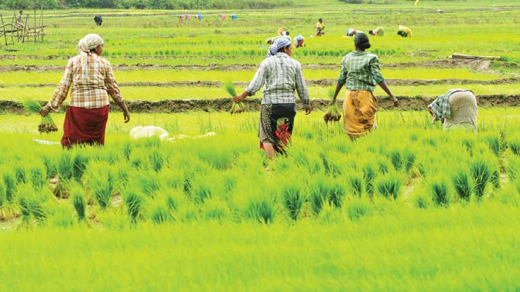 വയനാടി​ന്​ പിറന്നാൾ