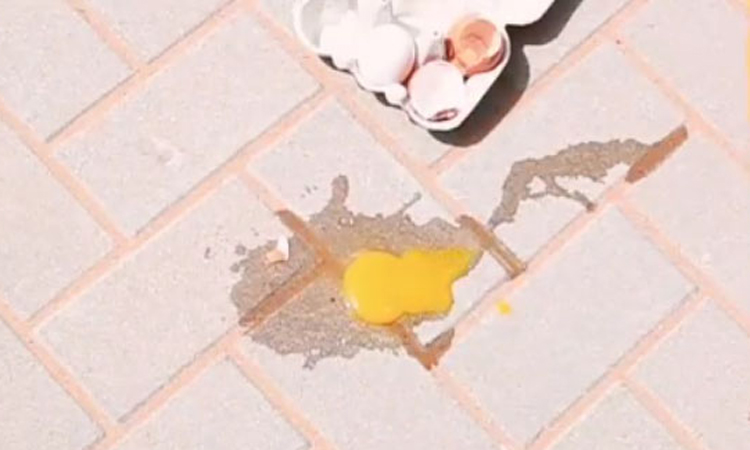 വേനൽ ചൂടിലെ  മുട്ടപൊരി വാദം പൊട്ടിച്ച്​ മറുവീഡിയോ 